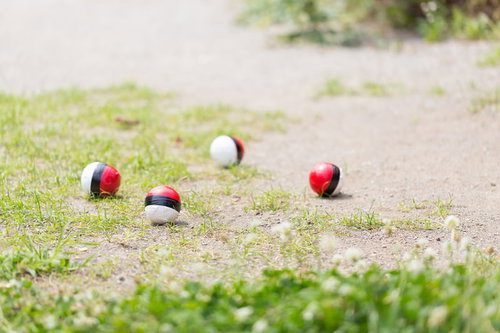 友人に場所を知らせたら紅白ボールが集まった