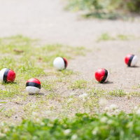 仲間内で紅白ボールのグループが作られたの写真
