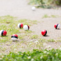 近くに住む紅白ボールが次第に集まってきたの写真