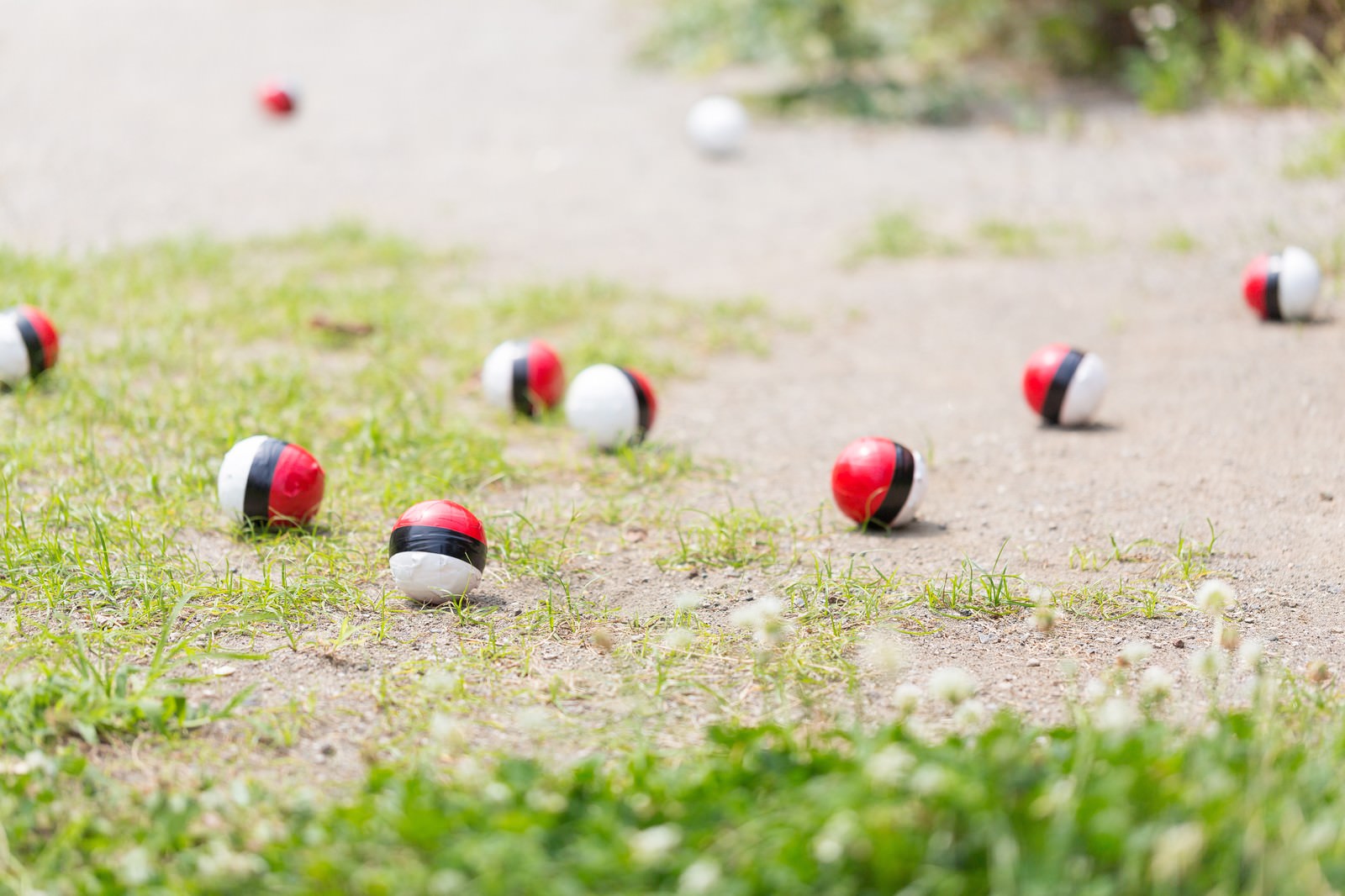 公園の芝生に散らばる紅白のボール