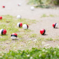 SNSに投稿され紅白ボールが増える公園の地面の写真