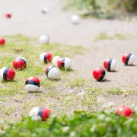 SNSで拡散された紅白ボール型ポケットモンスターのおもちゃが公園に集合の写真