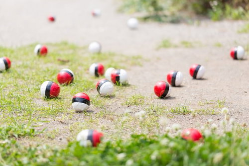 SNSで拡散された紅白ボール型ポケットモンスターのおもちゃが公園に集合