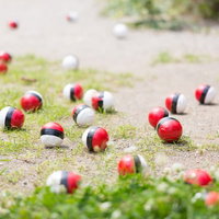 紅白ボールの人気がメディアに紹介されるの写真