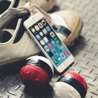 相棒を探しに紅白ボールとスマホを持って外出するかの写真