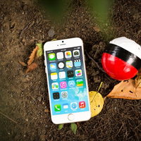 ついに見つけた伝説の紅白ボール、白いスマホと秋の落ち葉とともにの写真