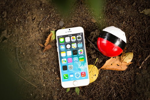 ついに見つけた伝説の紅白ボール、白いスマホと秋の落ち葉とともに