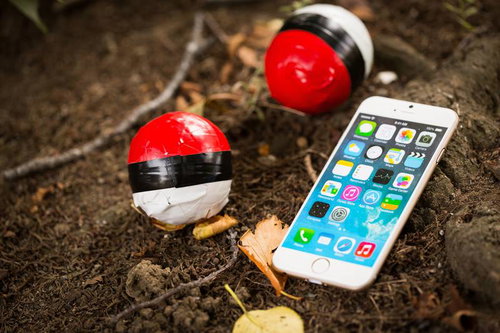 森の奥にレアな紅白ボールを発見、スマートフォンと一緒に