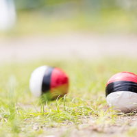 今話題の紅白ボール（2つ）が草地に並ぶの写真