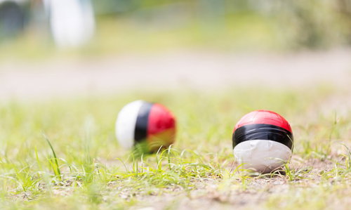 今話題の紅白ボール（2つ）が草地に並ぶ