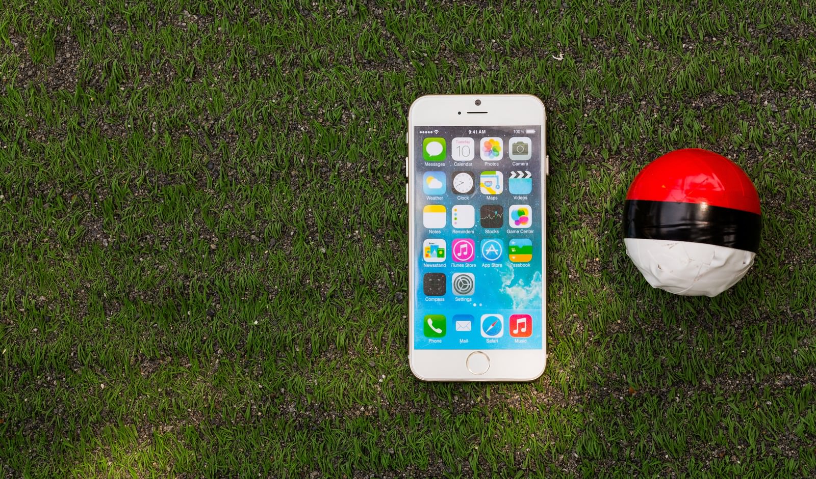 芝の上に並ぶiPhoneとモンスターボール風の紅白ボール