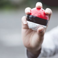 ゲットだぜ！の写真