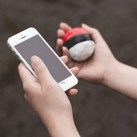 近くにいる野生の紅白ボールを探すプレイの写真