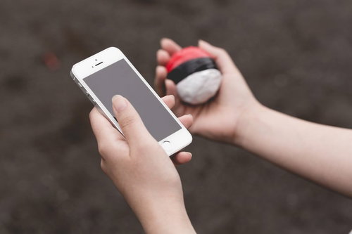 近くにいる野生の紅白ボールを探すプレイ