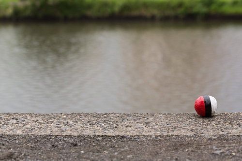 水辺に落ちていた紅白ボールをゲット