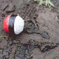 水辺の泥付近に落ちた紅白ボールの写真