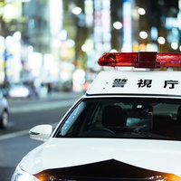 繁華街のネオンに包まれた夜間停車中のパトカーの写真