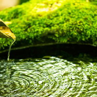 竹筒から流れる水と波紋のある鹿威しの写真