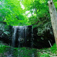 新緑に包まれて流れ落ちる岩井滝 岡山県の自然美の写真