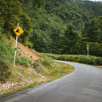 落石注意の警告看板と緑の森に囲まれた峠道の写真