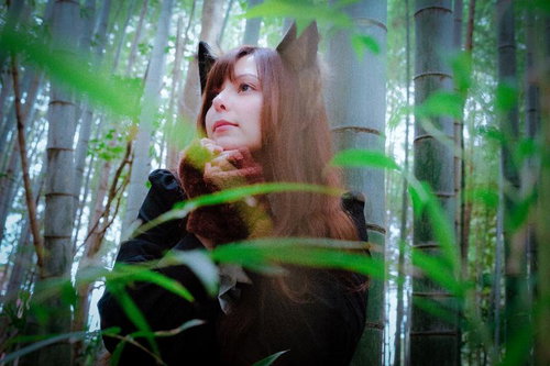 可愛いだけじゃ、竹ですか？