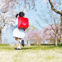 桜の下でランドセルを背負ってスキップする一年生の写真