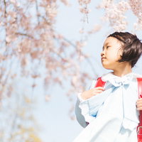 ピカピカ一年生、桜の下でランドセル背負うの写真