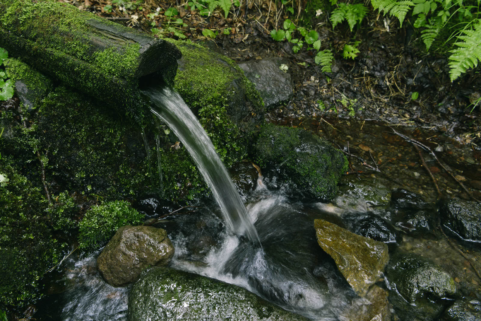 苔むした岩から流れ出る弥三吉水の清流