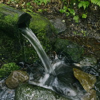 羅臼岳の日本百名山・弥三吉水の清流と苔むした岩肌の写真