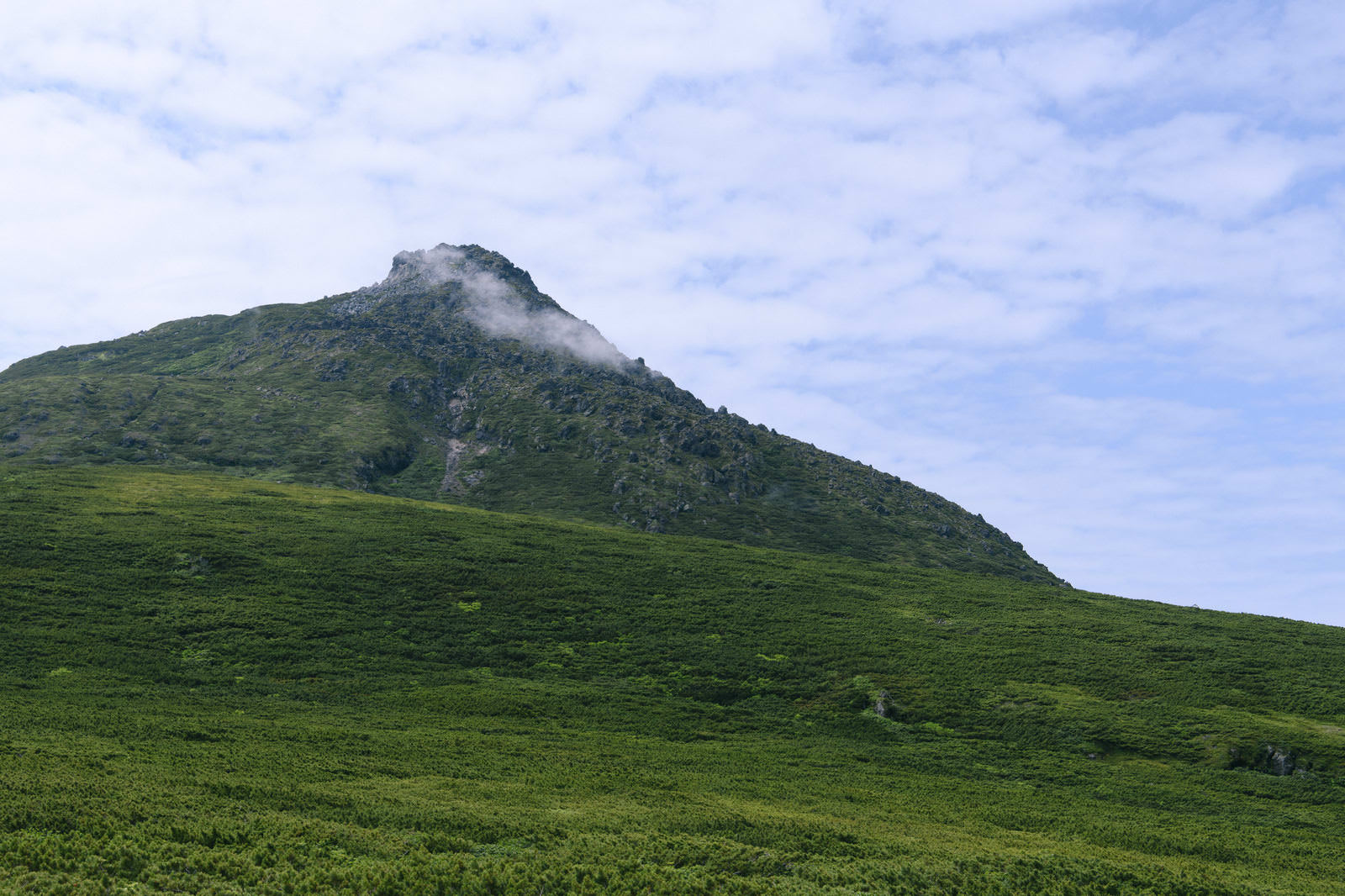 羅臼平の緑の草原越しに見上げる羅臼岳の山頂と夏の青空