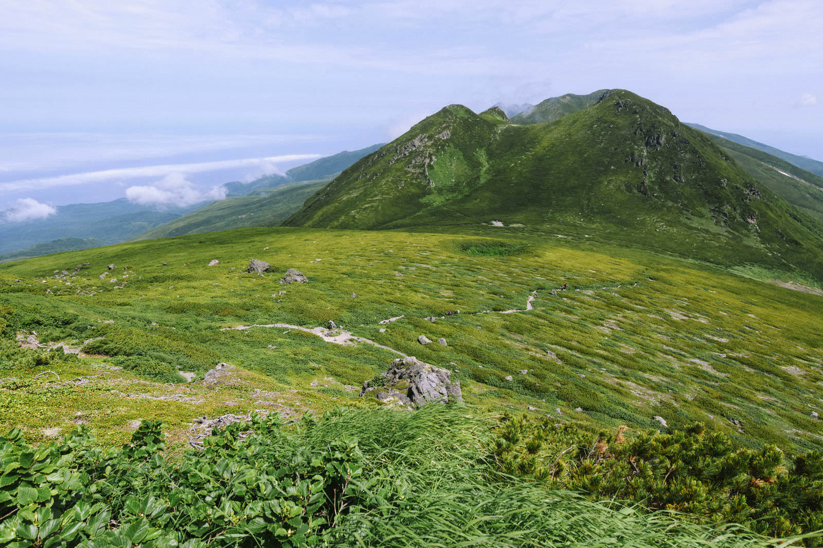 羅臼岳の稜線から羅臼平を見下ろす夏山の風景