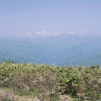 荒島岳の高原から望む白山の雪峰と青空、連なる山々の絶景の写真