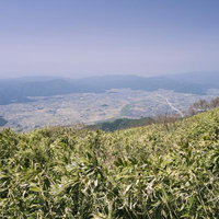 荒島岳の笹原から見下ろす越前大野の町並みと田園風景の写真