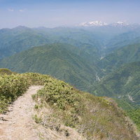 荒島岳の稜線から望む白山と緑の山並み、残雪の峰々の写真