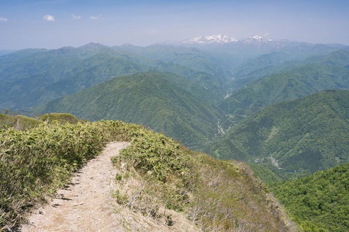 荒島岳の稜線から望む白山と緑の山並み、残雪の峰々
