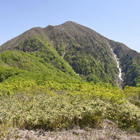 前荒島岳から見る荒島岳の山頂と登山道、針葉樹林と稜線の写真