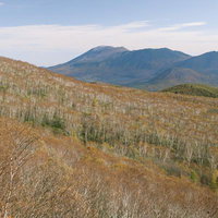 秋の紅葉に包まれた四阿山と浅間山の雄大な山並みの写真