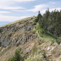 地層が露出した根子岳山頂の断崖と松やカラマツの風景の写真