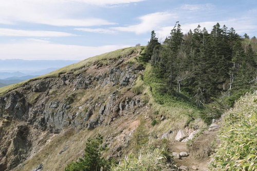 地層が露出した根子岳山頂の断崖と松やカラマツの風景