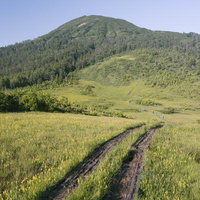 燧ヶ岳の広沢田代に敷かれた木道と湿原の風景の写真