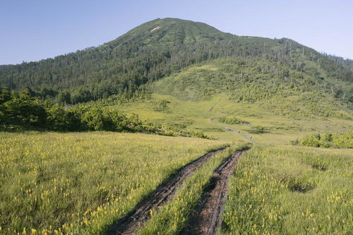 燧ヶ岳の広沢田代に敷かれた木道と湿原の風景