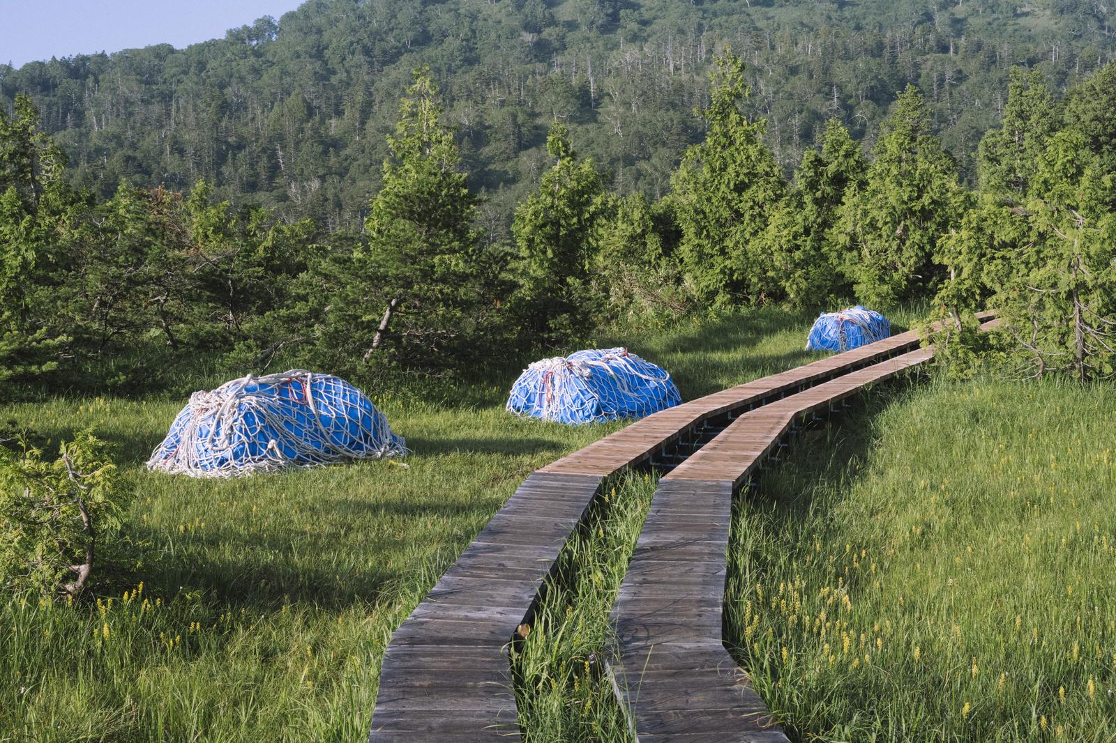 燧ヶ岳の登山道で青いネットで覆われた補修部材がある木道の風景