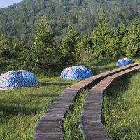 燧ヶ岳登山道の木道と青いネット補修部材の湿地帯風景の写真