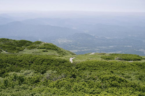 ダイセンキャラボクが広がる日本百名山・伯耆大山の山頂から見下ろす山麓