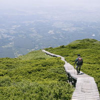 ダイセンキャラボクに覆われた山頂を木道で歩く登山者の写真