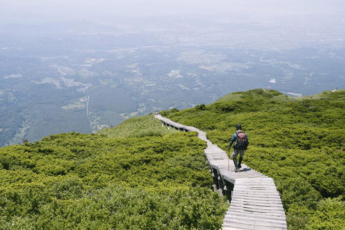 ダイセンキャラボクに覆われた山頂を木道で歩く登山者