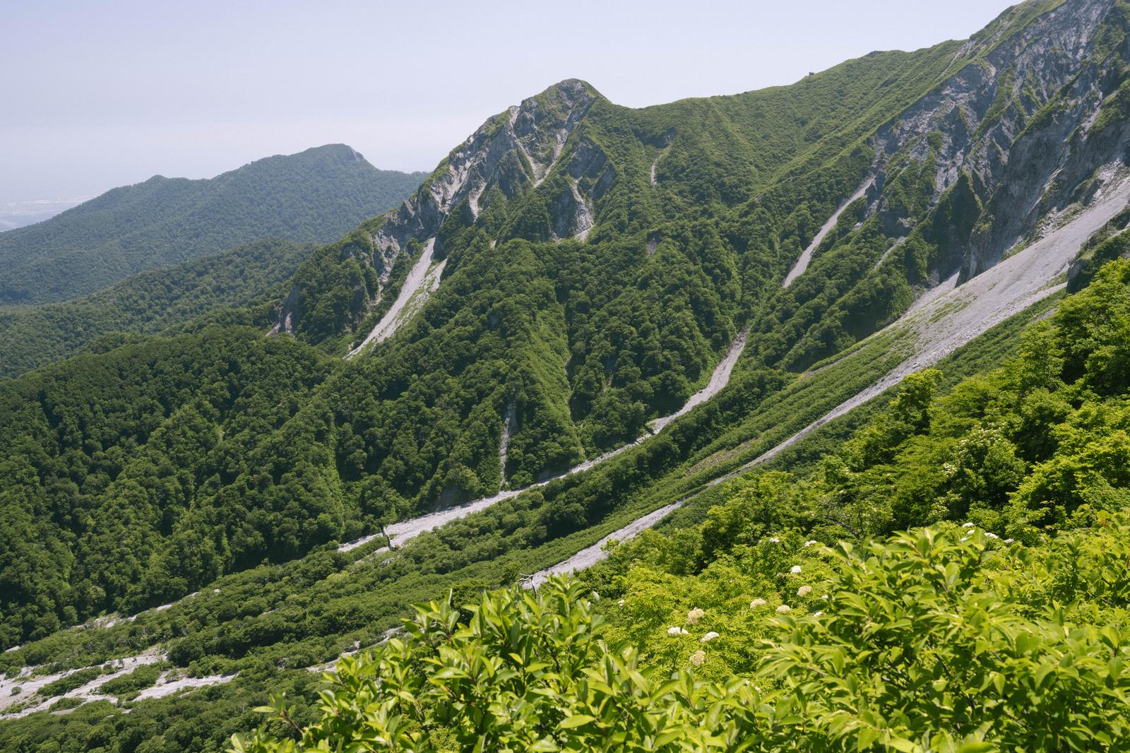 伯耆大山別山の白いガレ場と緑の森が連なる山々の眺望