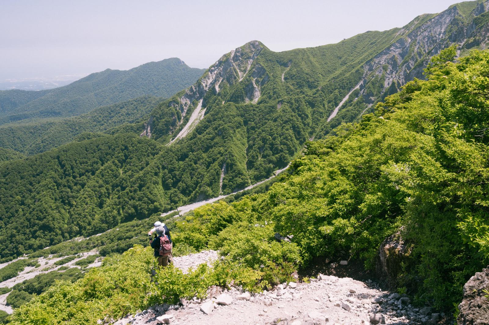 夏山の登山道からトレッキングコース下の渓谷と林道を見下ろす風景