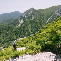 夏山登山道から見下ろす伯耆大山の別山と谷間の林道の写真