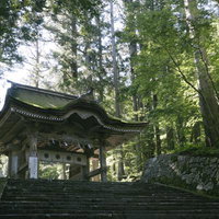 日本百名山・伯耆大山の境内に建つ苔むした門と杉林の写真